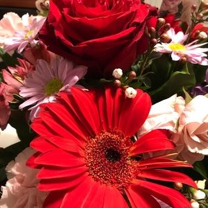 Meet your Posher, CJ